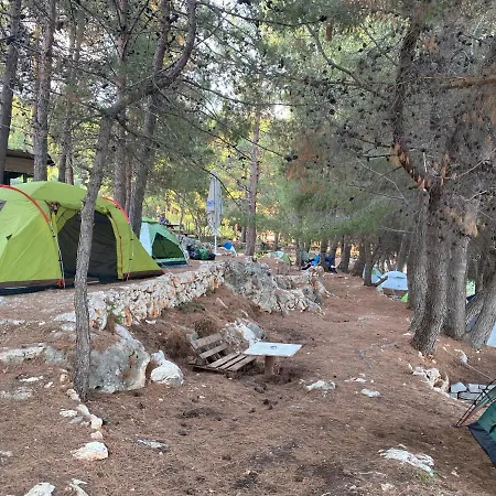 Pine Side Camp * Himare