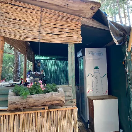 Pine Side Camp هيماري