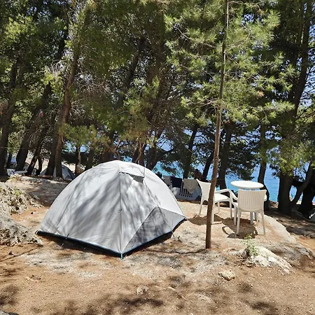 Pine Side Camp