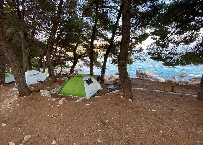 Pine Side Camp 希马拉