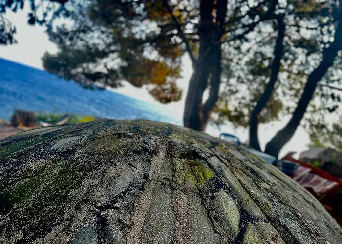 Pine Side Camp Χειμάρρα