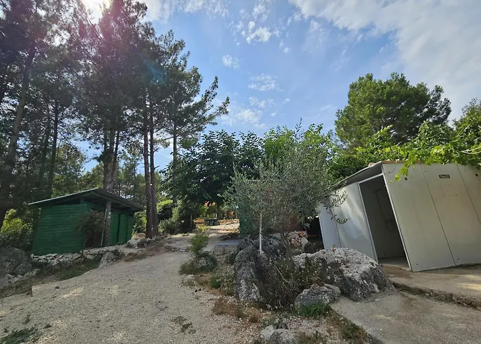 豪华帐篷 Pine Side Camp *