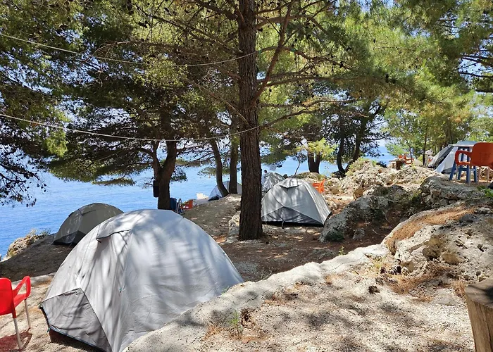 Pine Side Camp 希马拉