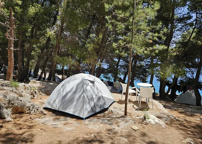 Pine Side Camp