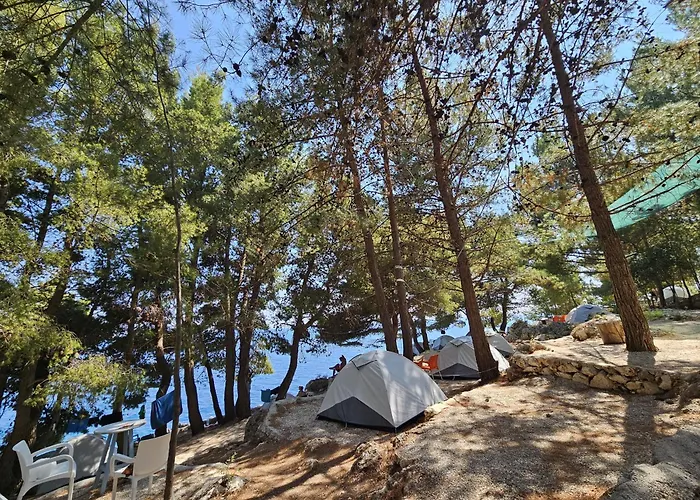 豪华帐篷 Pine Side Camp