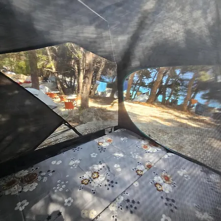 Pine Side Camp